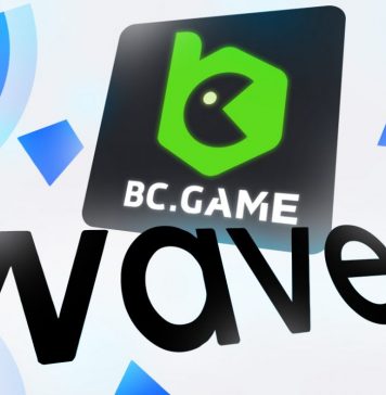 What is the Waves Platform (WAVES)?