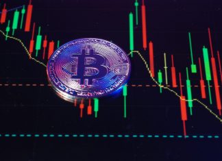 Crypto Market Growth: What The Future Holds For Cryptocurrency Crypto Market Growth