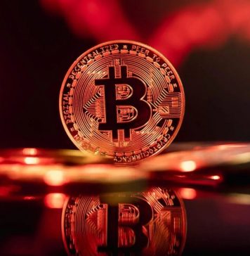 Top Influential People In Crypto a Bitcoin on a table with gold coins with a red background