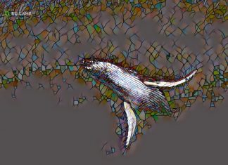 Dicas Para Lucrar Como Uma “Baleia” De Criptomoedas