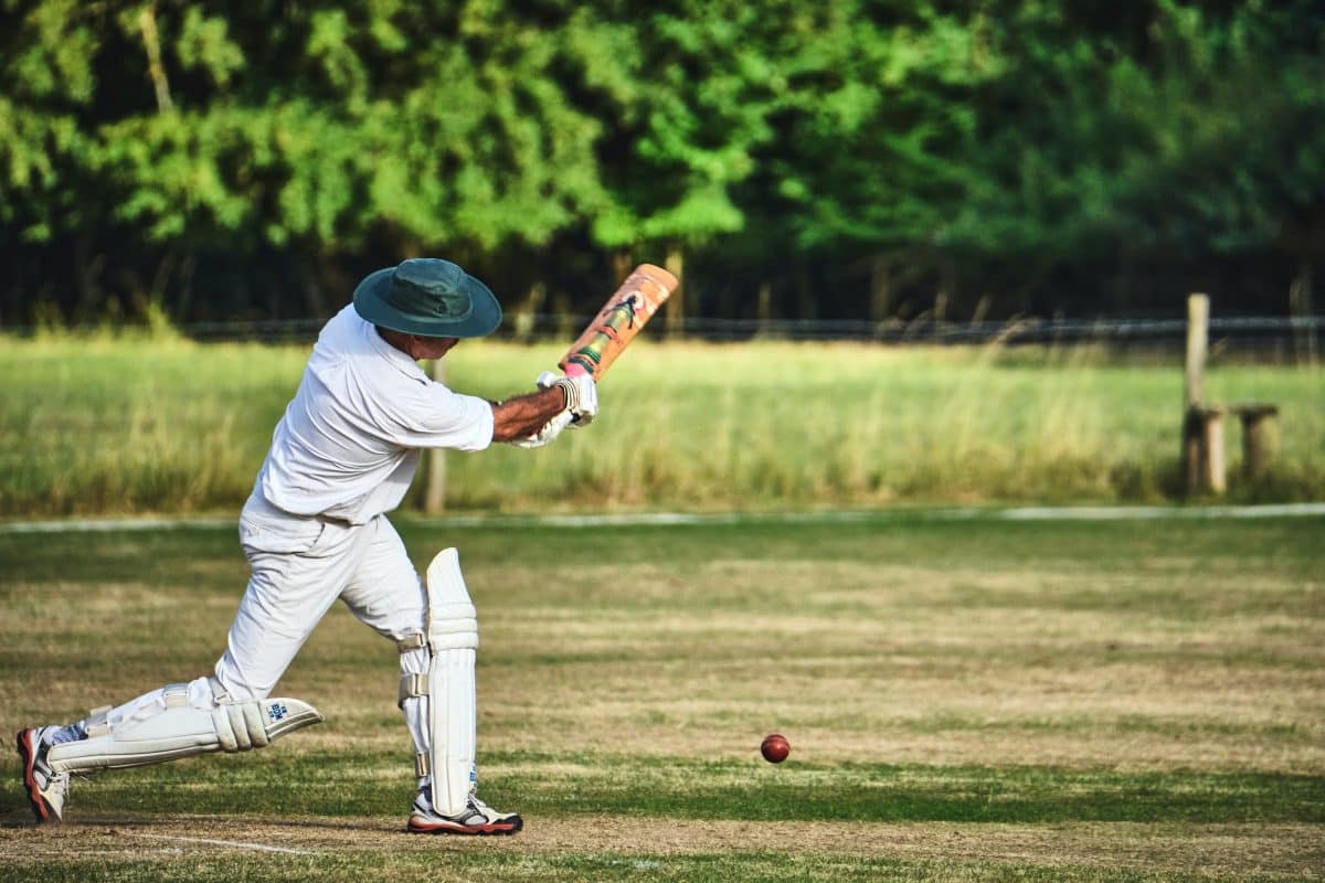 coupe du monde de cricket 2022