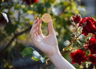 Tips to Recognize Scam Crypto Casinos