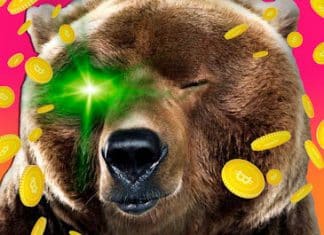 Como Ganhar Dinheiro Em Um Mercado De Baixa (Bear Market) bear market