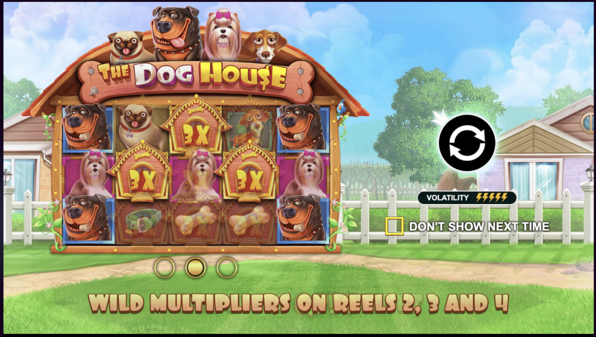 Dog house bc game