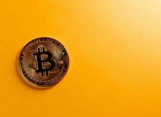 Cripto Apostas: Benefícios E Porque Você Deveria Dar Uma Chance As Criptomoedas criptomoedas