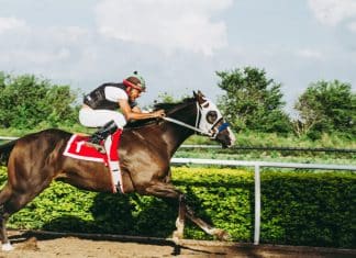 Psicologia Das Apostas: Entenda Por Que As Pessoas Adoram Jogos De Azar  apostas