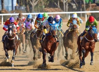 Everything You Need to Know About Horse Betting: A Beginner’s Guide horse betting