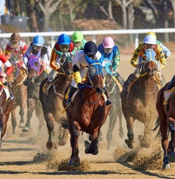 Everything You Need to Know About Horse Betting: A Beginner’s Guide horse betting