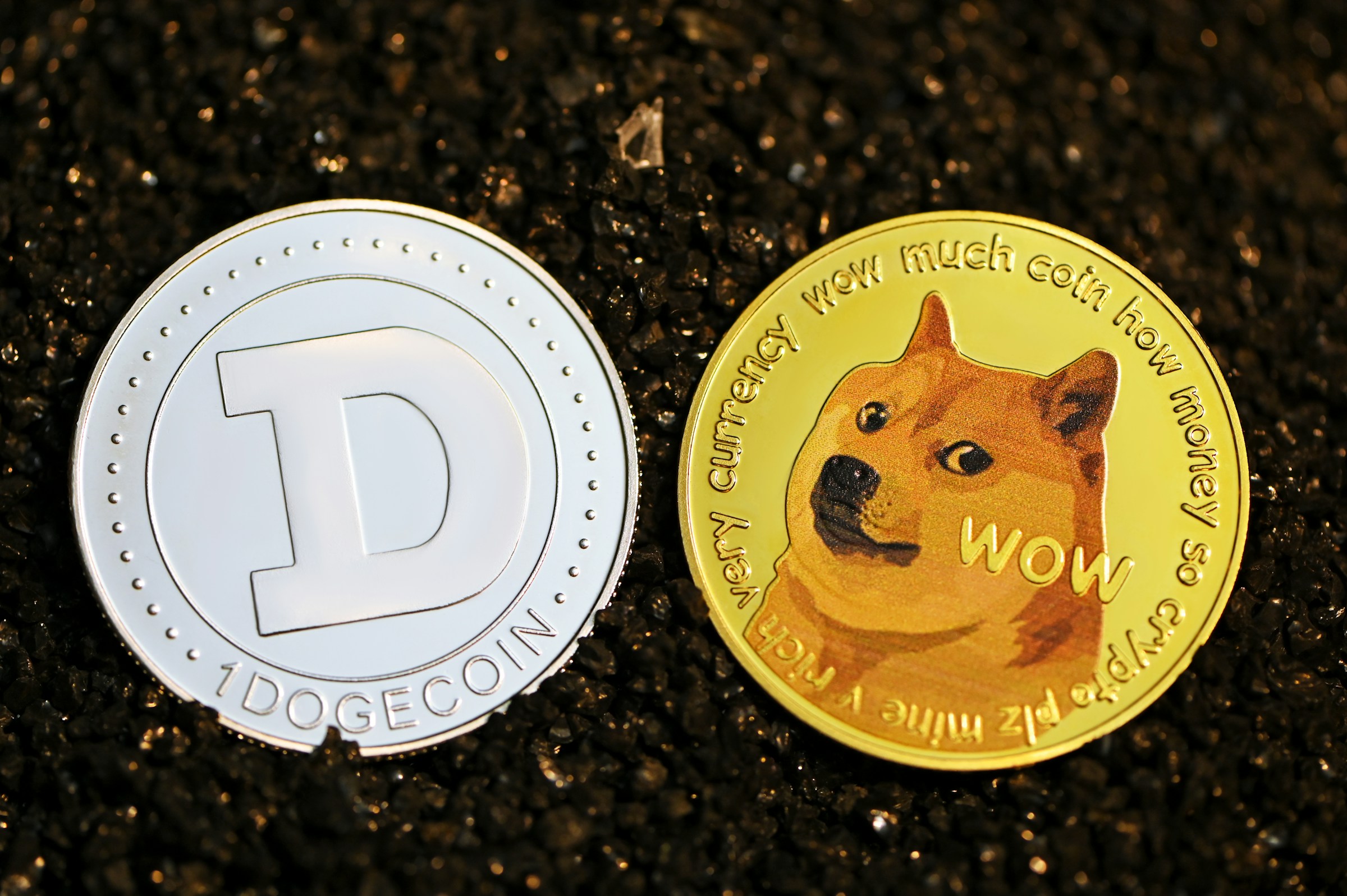 Почему вы выбрали Dogecoin для Fazer suas Apostas? | Блог BC.Game