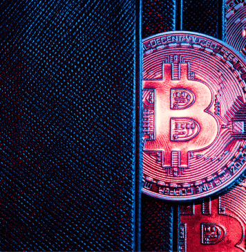 Carteiras de Criptomoedas: A Garantia de Transações Seguras e Eficientes em Cassinos Carteiras de Criptomoedas