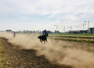 Do Hipódromo ao Digital: As novas Tendências nas Apostas de Corridas de Cavalos Do Hipódromo ao Digital