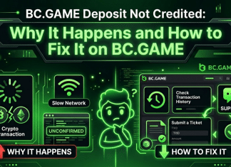 BC.GAME Deposit Not Credited: Why It Happens and How to Fix It on BC.GAME