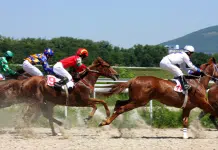 BC.GAME’s Horse Racing Game: The Basics Every Player Should Know BC.GAME’s Horse Racing Game: The Basics Every Player Should Know