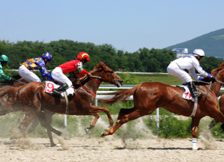 BC.GAME’s Horse Racing Game: The Basics Every Player Should Know BC.GAME’s Horse Racing Game: The Basics Every Player Should Know