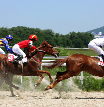 BC.GAME’s Horse Racing Game: The Basics Every Player Should Know BC.GAME’s Horse Racing Game: The Basics Every Player Should Know